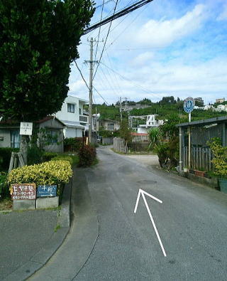 ブランフラワー 沖縄市 花屋
